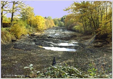 Oberfoersterweiher